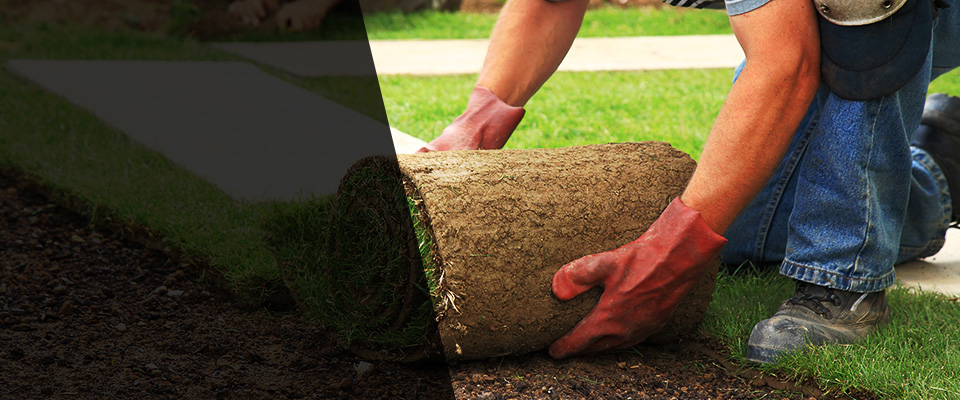 Bourbonnais Landscapers